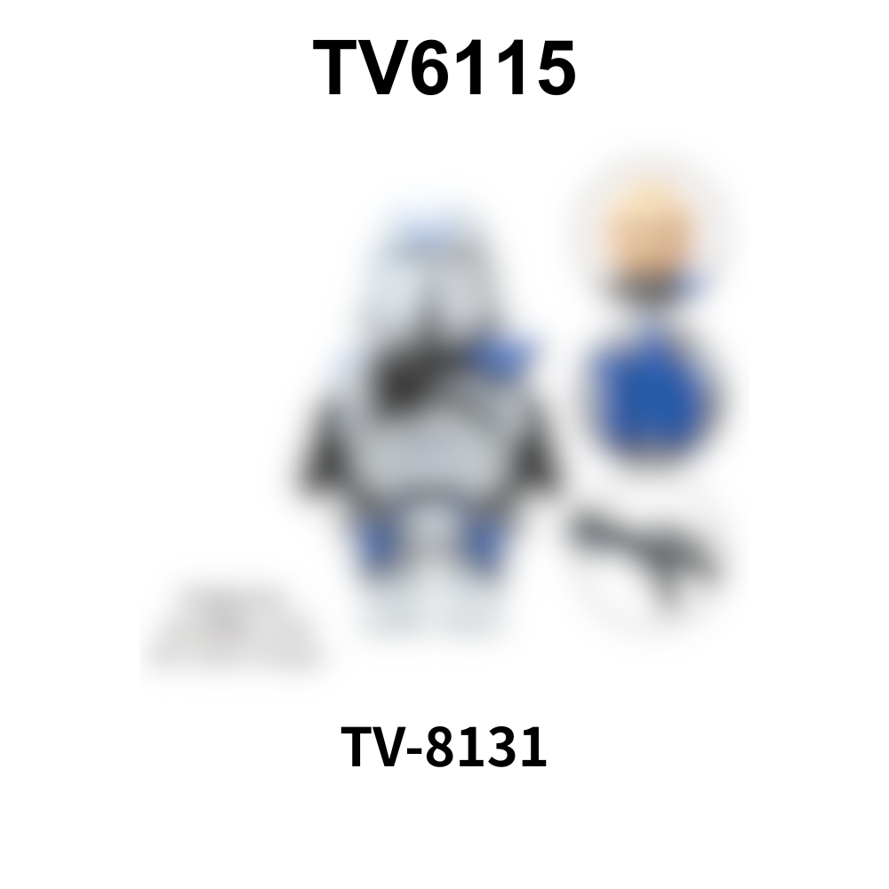 TV8131