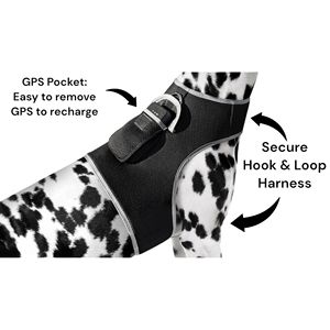 Kích thước XL không thấm nước GPS Pet Tracker với thời gian thực an ninh Hệ thống giám sát <span class=keywords><strong>Tag</strong></span> cho vật nuôi - Product Image 6