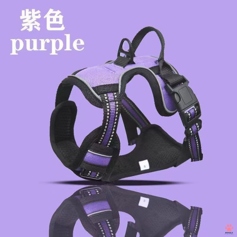 Pourpre
