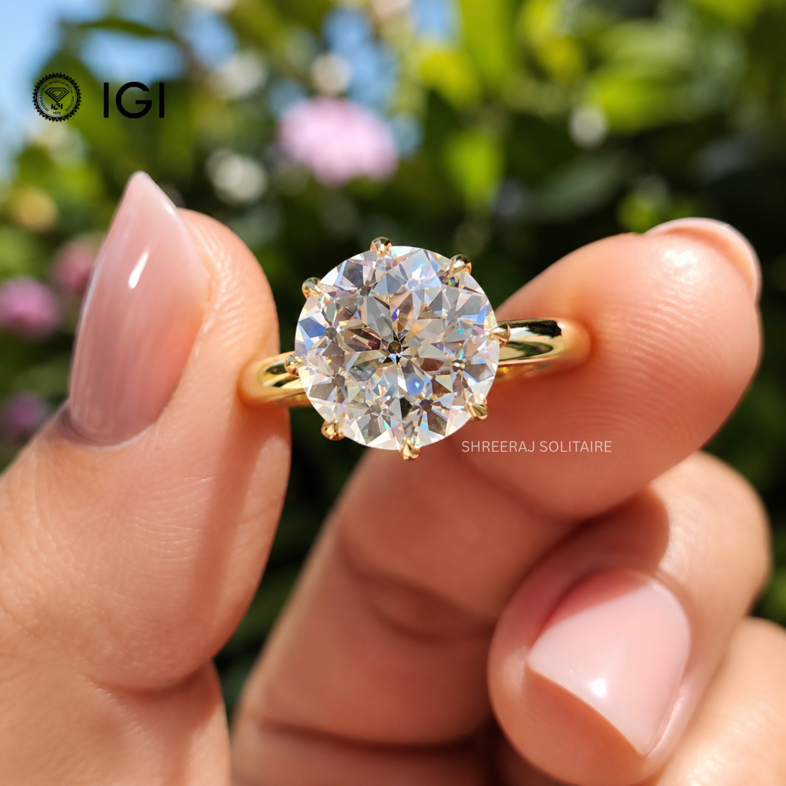 Yellow Gold / Rose Gold / White Gold