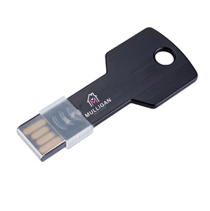 带定制标志的USB钥匙/批发钥匙形状的广告u盘 - Product Image 4