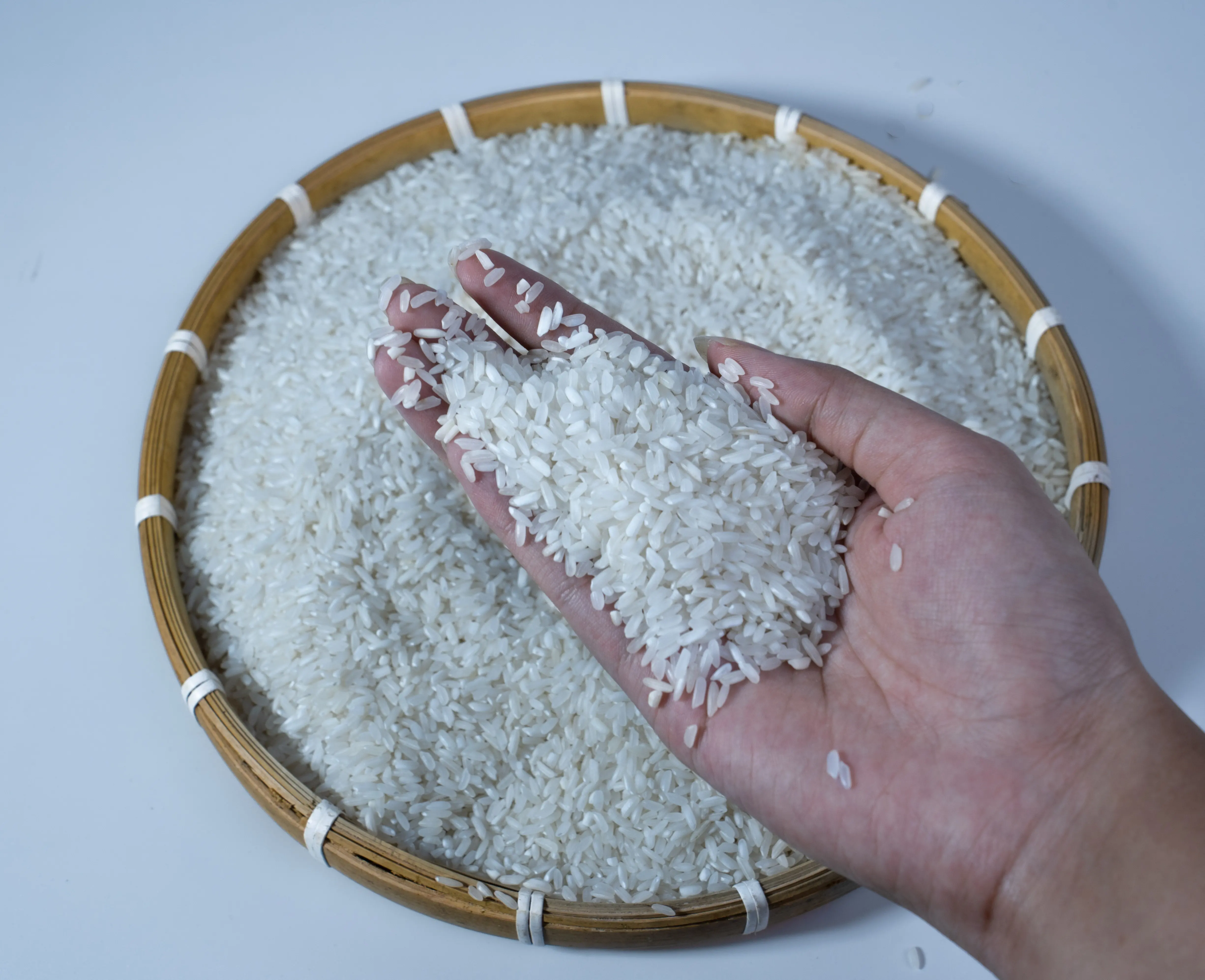 Gạo trắng hạt dài cao cấp Việt Nam-5% vỡ: giá cả cạnh tranh & ưu đãi độc quyền cho người mua chất lượng, gạo Việt Nam