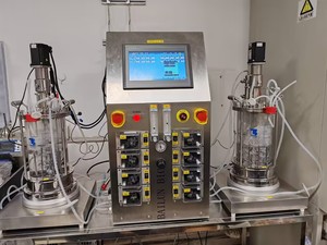 7L-4 Fermenter Fermentation bioreactor reducing manual intervention and errors. - Product Image 2