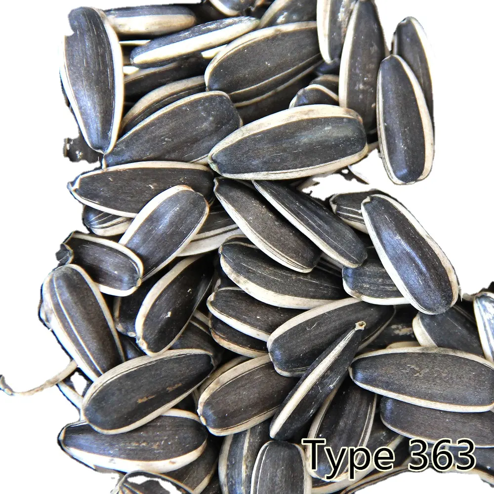 Wholesale new crop black and white sunflower seeds