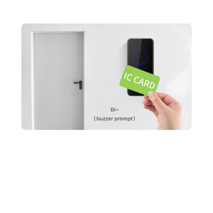 COOLCODE CR09 controllo di accesso lettore di schede modulo RS485 pesatura ISO14443A Scanner 13.56MHz TK4100 EM4100 Chip per scheda ISO14443A - Product Image 3