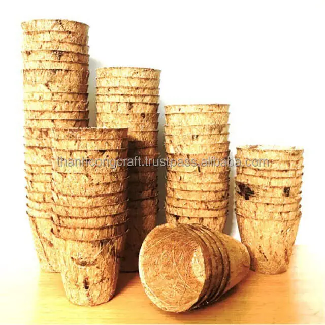 Potes de plantas de pendurar, vasos ecológicos feitos à mão feito no atacado de concha de côco desde vietnamita