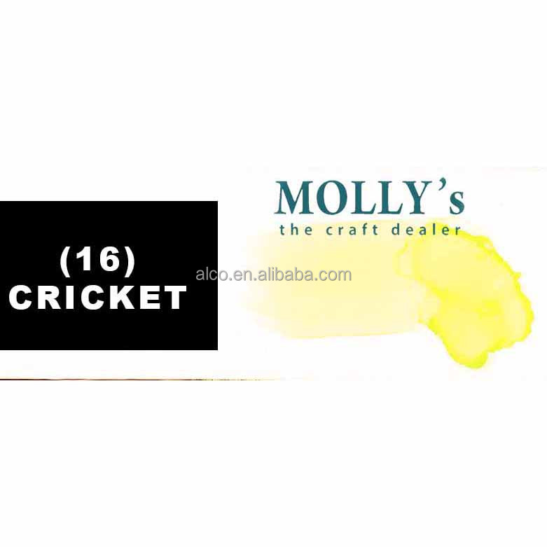 #16_Cricket