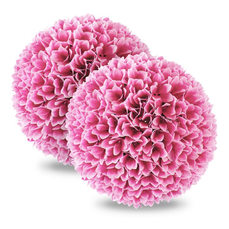 Pink Color