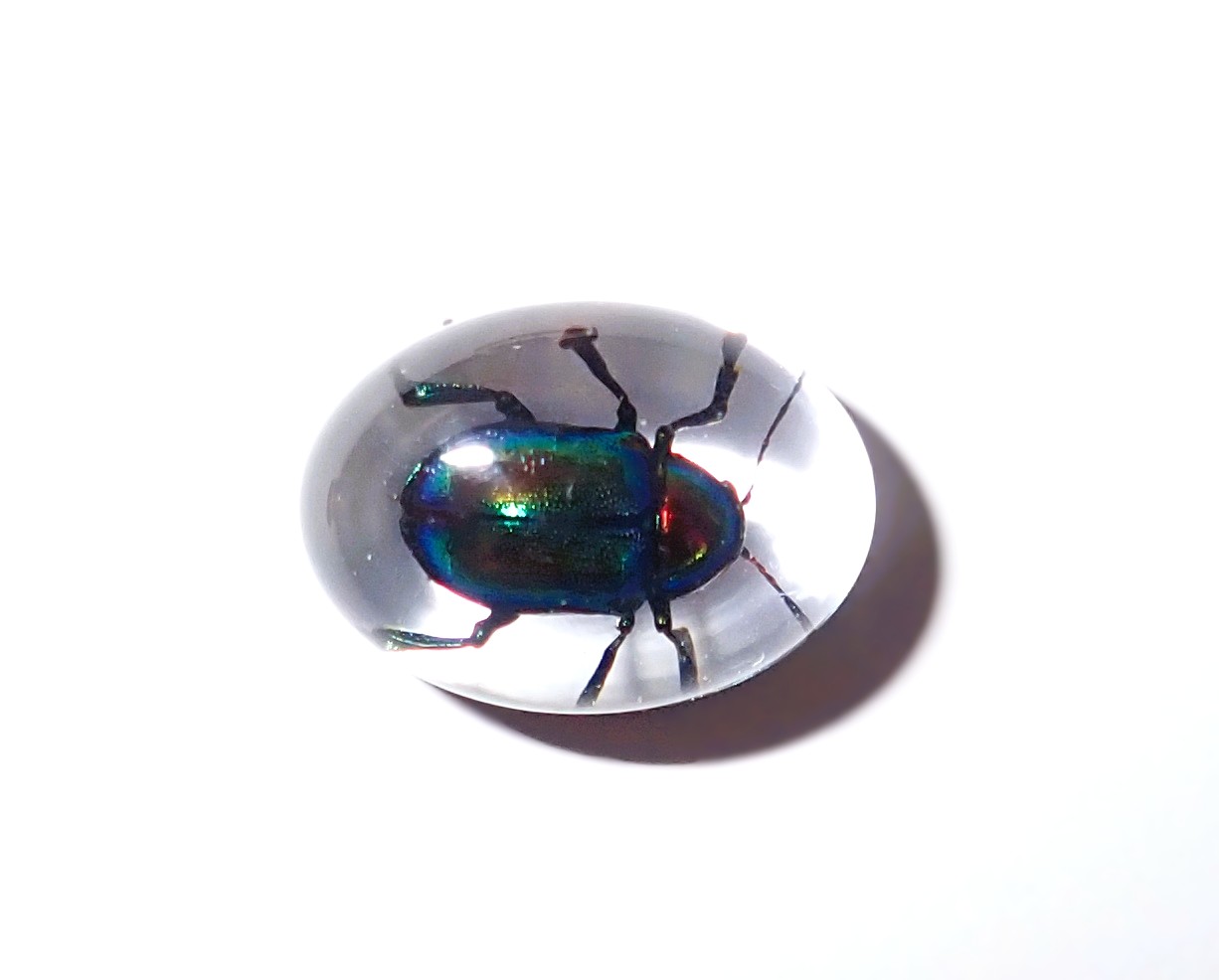 Transparent