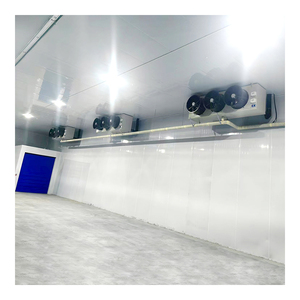 Koelopslagmagazijn Voor Logistiek En Distributiecentra | Op Maat Gemaakte Inloopvriezerruimte - Product Image 2