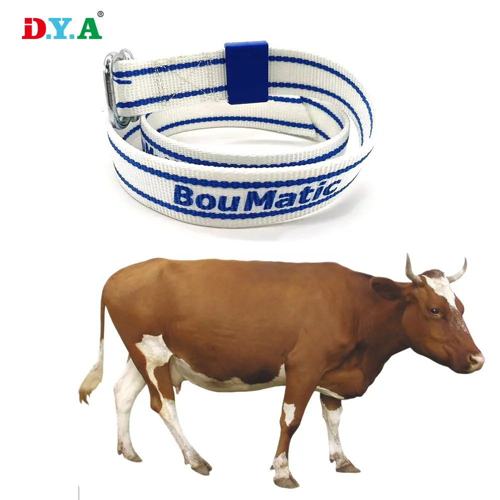 Cintura per collare in nylon regolabile resistente personalizzata per cinturino per mucca/cavallo