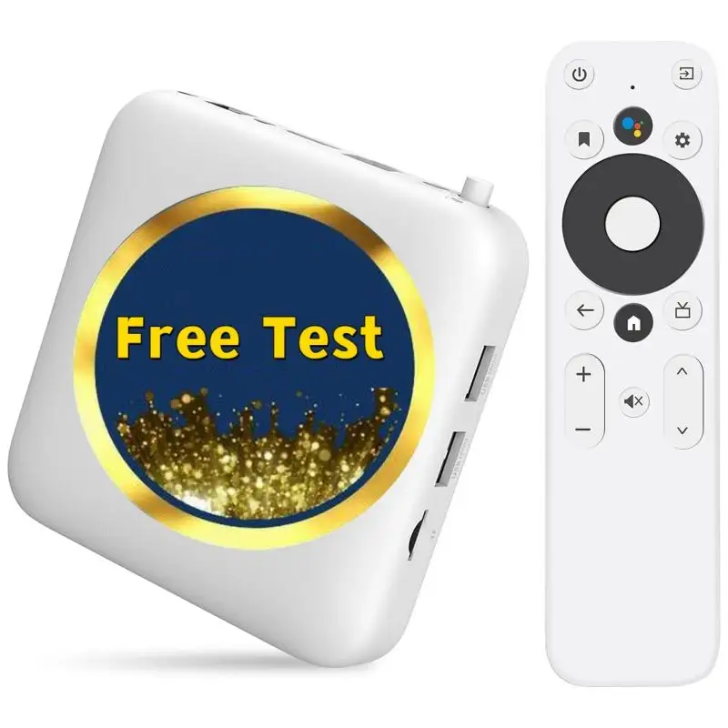 IPTV abbonamento Test gratuito 1 anno codice IPTV M3u elenco canale UK germania spagna Mini PC Android Smart TV pannello IPTV