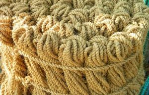 מחצלת סיבים קוקוס זול יותר, רשת coir, וחובל coir מוויטנאם