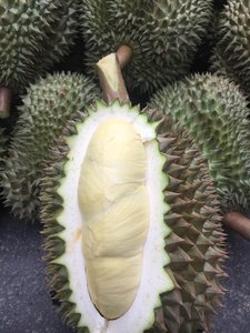 Ihracat sınıf dondurulmuş Durian Premium kalite olmayan gdo hiçbir koruyucular asya mutfağı ve perakende için en iyi - Product Image 5