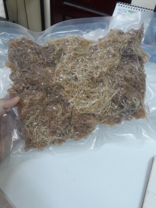 (热搜) 海藻中的海苔纤维有助于改善消化系统，预防便秘和肠道问题/MS.THAO