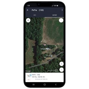 Kích thước XL không thấm nước GPS Pet Tracker với thời gian thực an ninh Hệ thống giám sát <span class=keywords><strong>Tag</strong></span> cho vật nuôi - Product Image 2