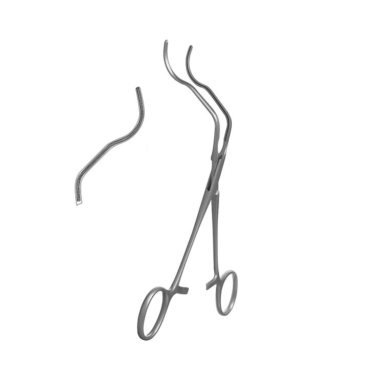 Medium. Jaw length (6.2cm). Overall length 7in (18cm).