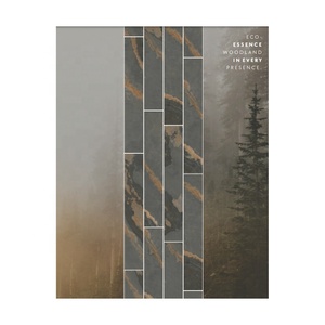 Ấn độ xuất khẩu chất lượng hiện đại camden Nâu sàn gỗ gạch sứ hoàn thành 20x120 8x48 ván gỗ cho firebrick - Product Image 6