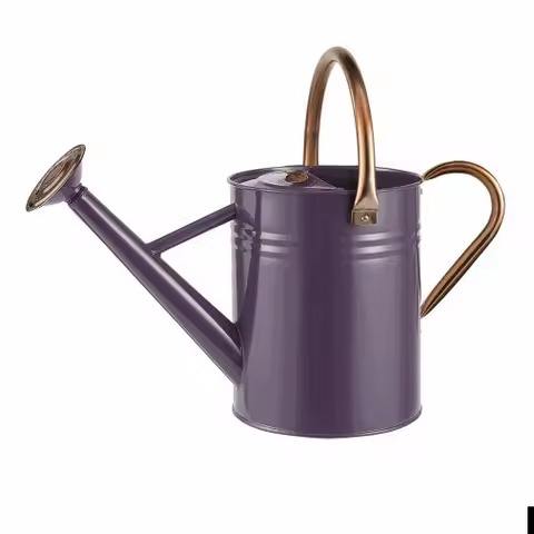 ตามที่แสดง