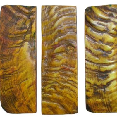 Natural Horn Colours