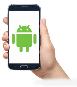 eCommerce Website Design and Development for Gym Trainer Android and iOS Mobile <strong>Application</strong> wordpress shopify magento <strong>software</strong> - Product Image 2