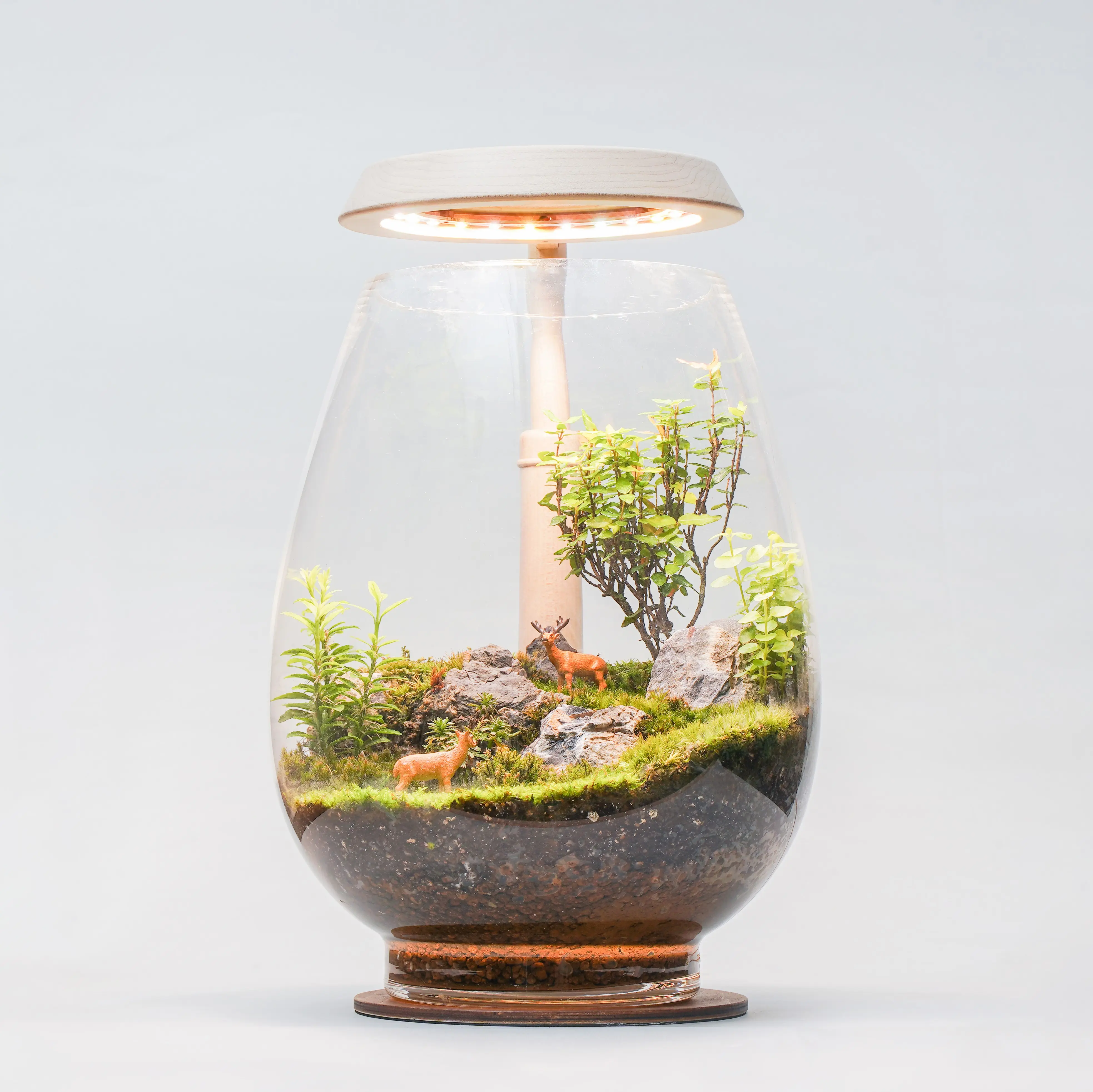 [2.9R] Mini lampe de culture LED d'intérieur faite à la main pour jardin, plante en bois, lampe de bureau