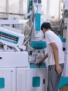 Çeltik için saatte 2024 sıcak satış 1ton pirinç değirmen makinesi/pirinç işleme makineleri - Product Image 4
