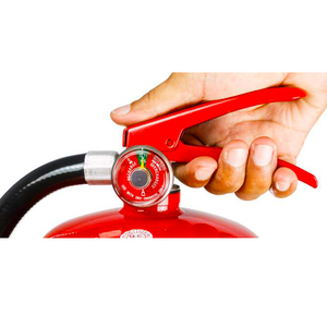 Giá rẻ dingsheng thương hiệu xách tay bọt Bình chữa cháy với Carbon thép xi lanh ISO chứng nhận cho tàu điện ngầm đường sắt - Product Image 2