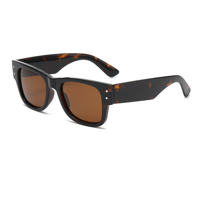 C4 : Tortue / Marron