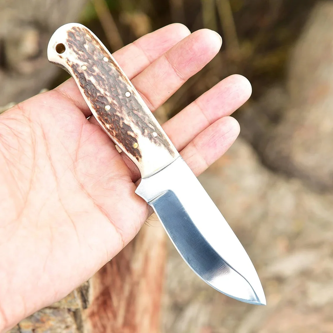 5: Horn Handle Skinner Knife