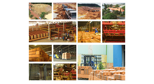 Vật liệu xây dựng dừa-lá đất nung gạch chất lượng cao đất sét sàn gạch giá tốt nhất đất nung ngoài trời Made in Việt Nam - Product Image 6