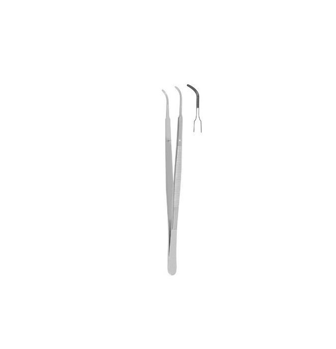 Plata