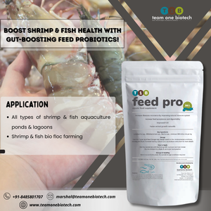 Biofloc System <strong>Enhancer</strong> Probiotic Feed Additives for Shrimp Health - Product Image 5