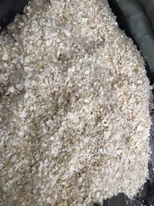 用于健康和保健产品的可持续来源鱼鳞提取物Tracy
