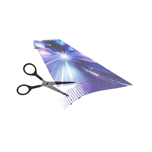 PH4-8 P6.5 PH5-10 P3.9-7.8 şeffaf esnek LED sergi ekranı İnce Film Video duvar ekranı - Product Image 4