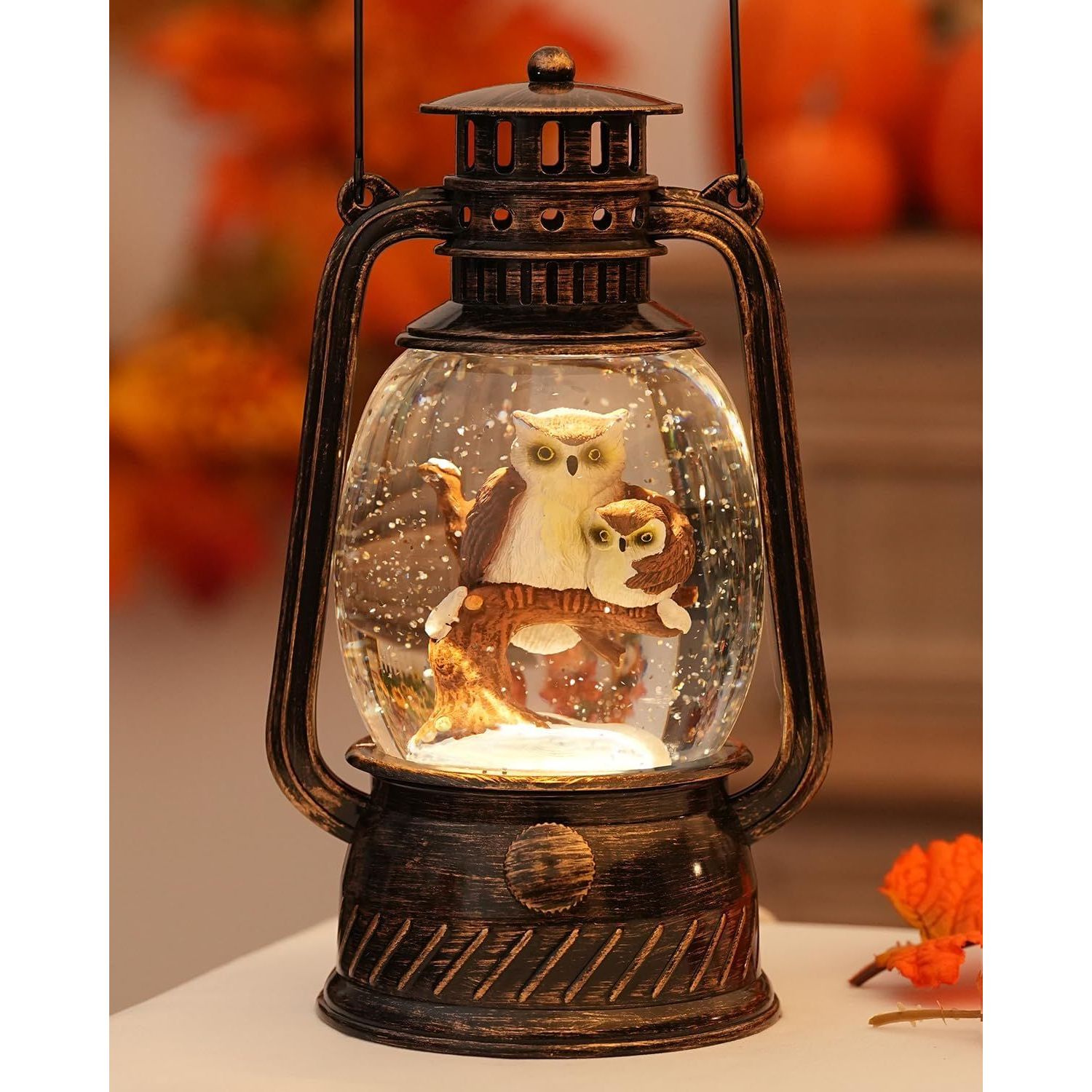Owls Color