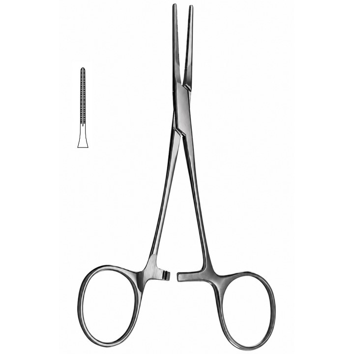 Jaw length 2.5cm. Overall length 5-1/2in (14cm)