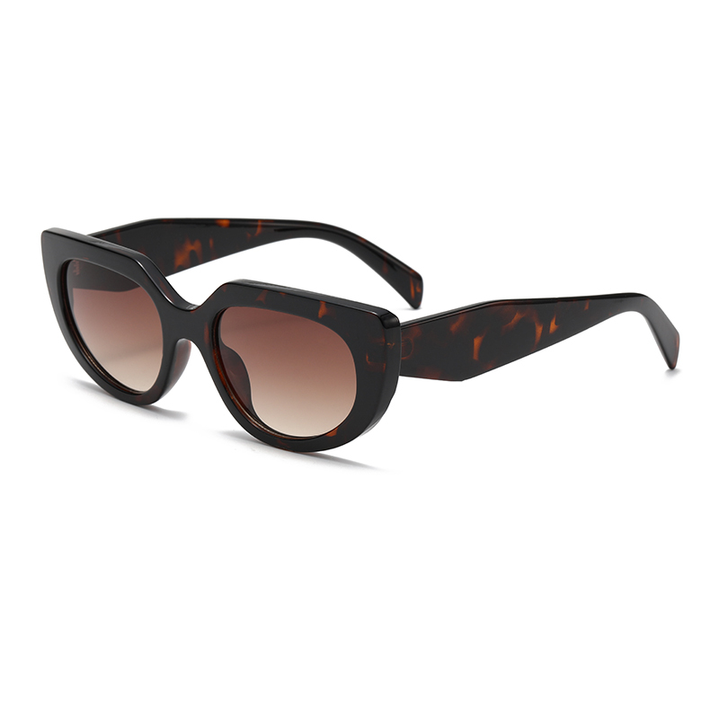 C4: Tortoise/ Brown Gradient