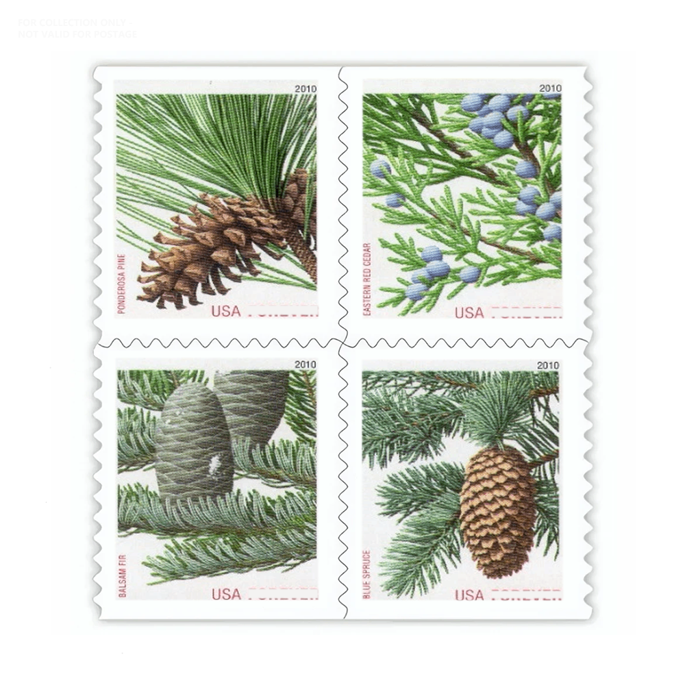 Blanc Y90 2009 Sapins de Noël 100 pièces
