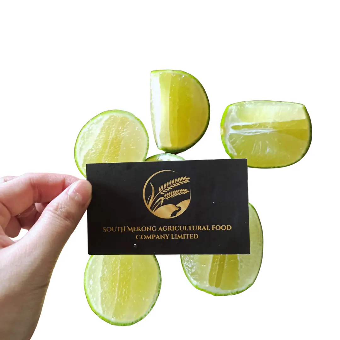 GREEN SEEDLESS LIME Lemon Natural Sour Taste Citrus Fruit Wholesale Export Cheap Price From Top Supplier South Mekong