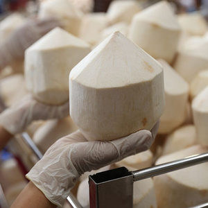 100% cocco di diamante fresco migliore affare all'ingrosso per il mercato degli Emirati Arabi Uniti | Fornitore di frutta di alta qualità dal Vietnam