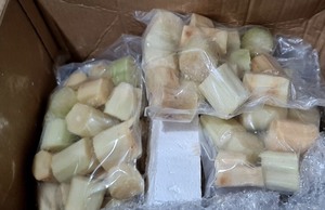 VIETNAM Premium Peeled Frozen Sugarcane Size 25-30cm Meets Export Standards to Many Countries Around the <strong>World</strong> 2024