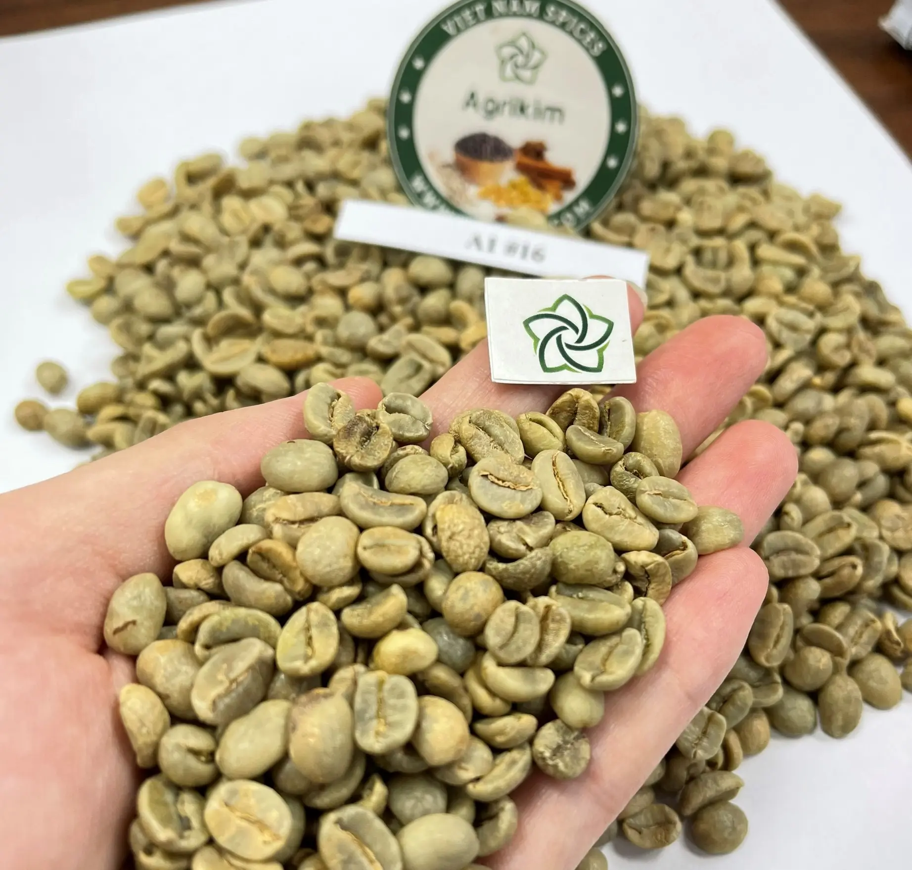 Grain de café vert 60kg sac de jute Grade 1 écran de café 16 poli humide du Vietnam emballage personnalisé livraison rapide