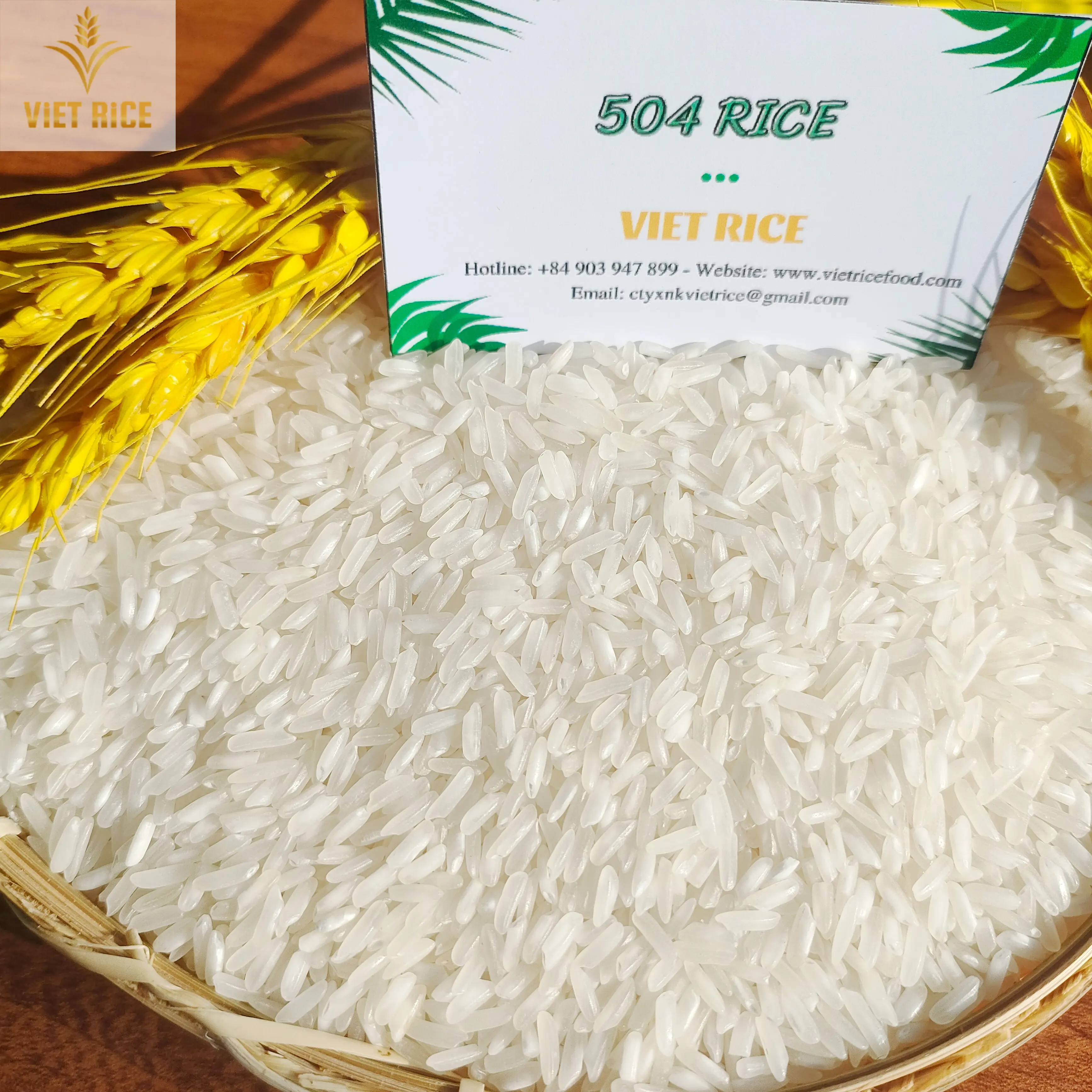 IR504 5% broken fragrant rice premium quality, large quantity and competitive price rice from VIETRICE international standard