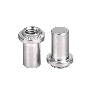 מפעל אספקת גבוהה פחמן פלדה <span class=keywords><strong>rivet</strong></span> אגוזים <span class=keywords><strong>s</strong></span>/cls/cls/sp סדרת revrt חוט מוסיף אגוזי ריוט עיוורים