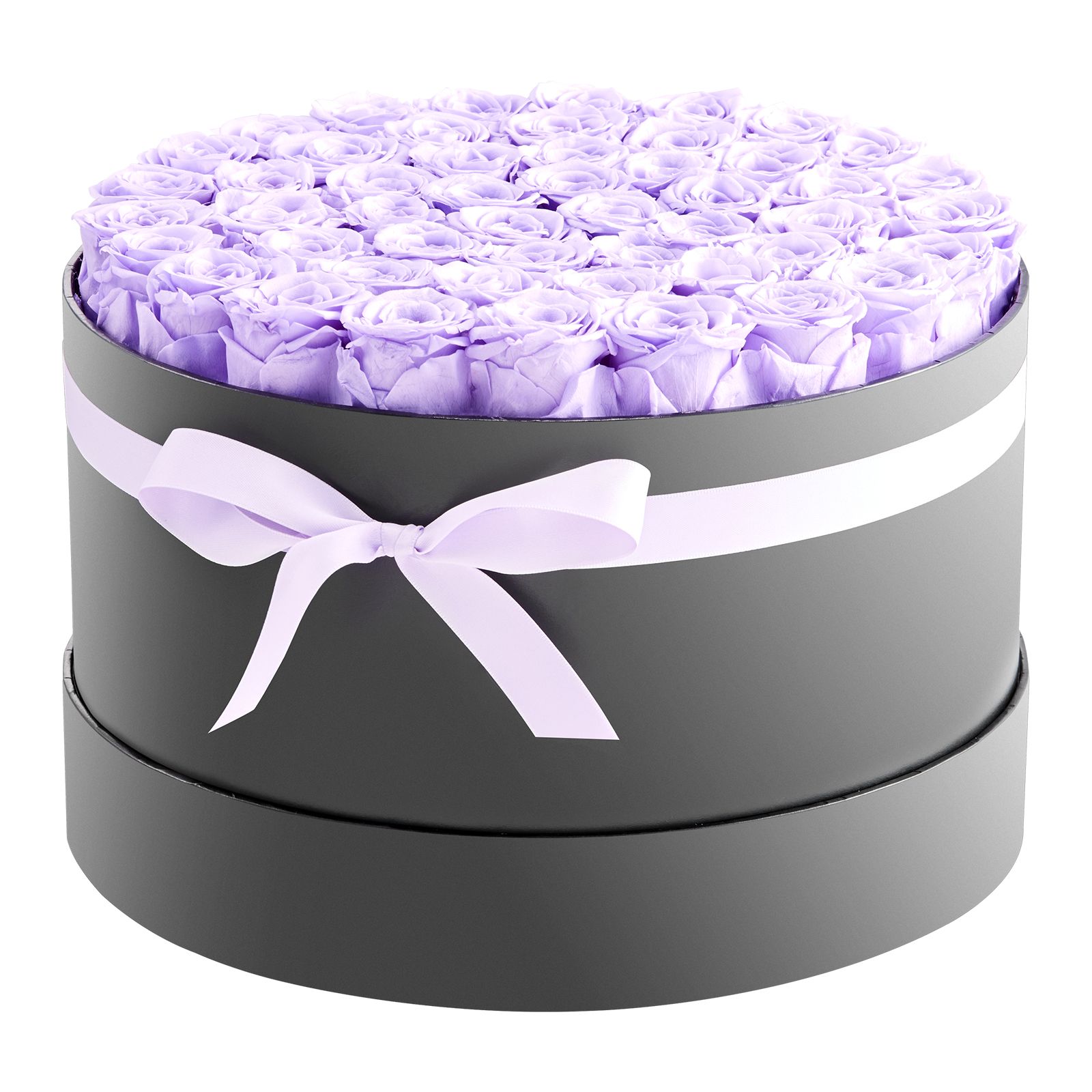 Purple Color