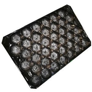 可回收材料塑料托盘，用于带有定制腔的水果包装 - Product Image 1
