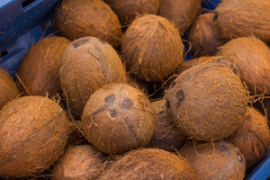 TOP EXPORT DRIED <strong>COCONUT</strong> at AFFORDABLE PRICE