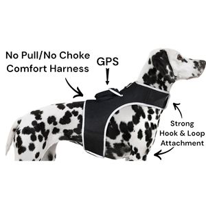 Kích thước XL không thấm nước GPS Pet Tracker với thời gian thực an ninh Hệ thống giám sát <span class=keywords><strong>Tag</strong></span> cho vật nuôi - Product Image 1