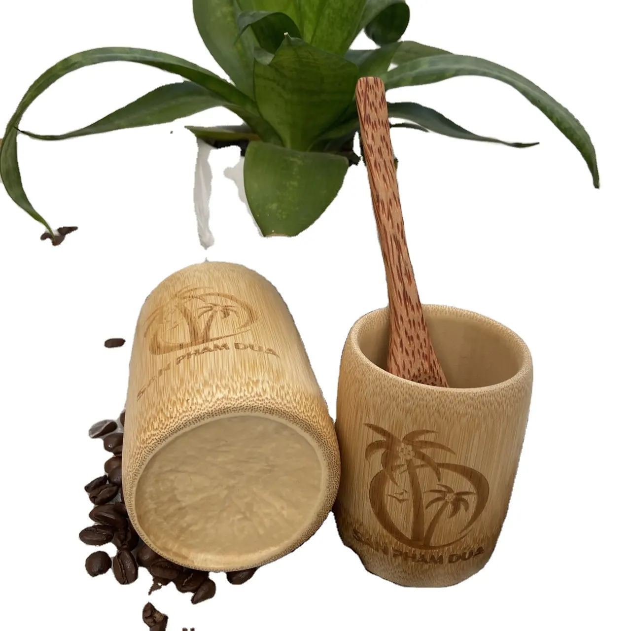 Taza reutilizable de bambú, vaso de fibra de bambú NATURAL, respetuoso con el medio ambiente, venta al por mayor, de VIETNAM, precio barato